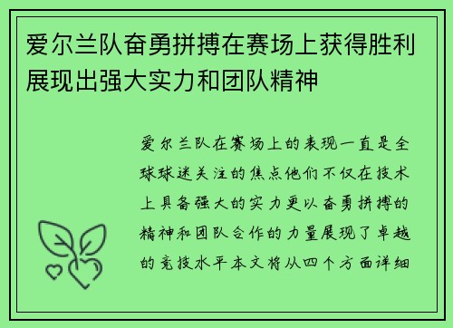 爱尔兰队奋勇拼搏在赛场上获得胜利展现出强大实力和团队精神